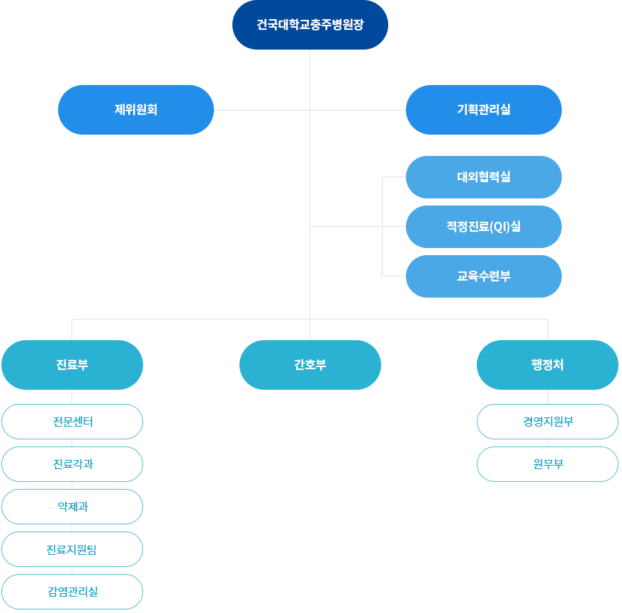 조직도